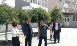 《平衡》在线观看,探寻人生和谐之道的在线之旅