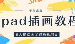 教科书插图爆料视频,揭秘历史瞬间背后的真实故事